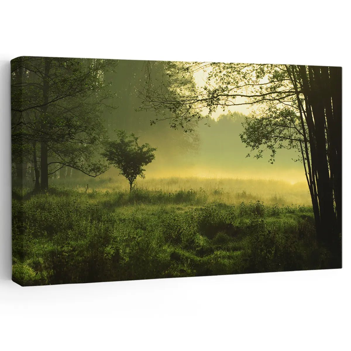 Green Forest Wall Art Canvas