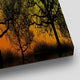 Full Moon Forest Silhouette Wall Art Canvas