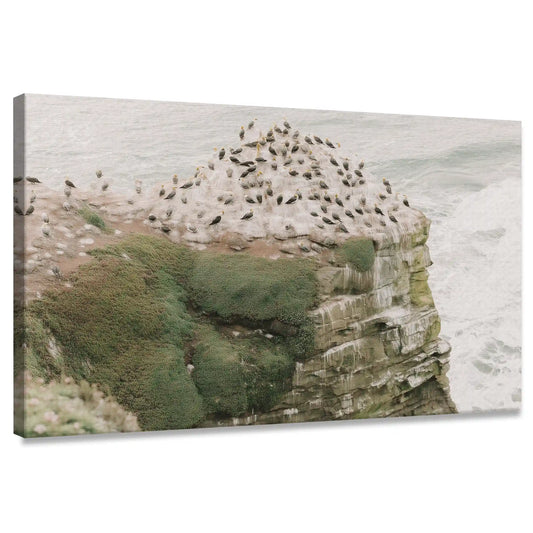 Coastal canvas wall art of seabirds nesting on rugged cliffs with ocean waves in soft neutral tones