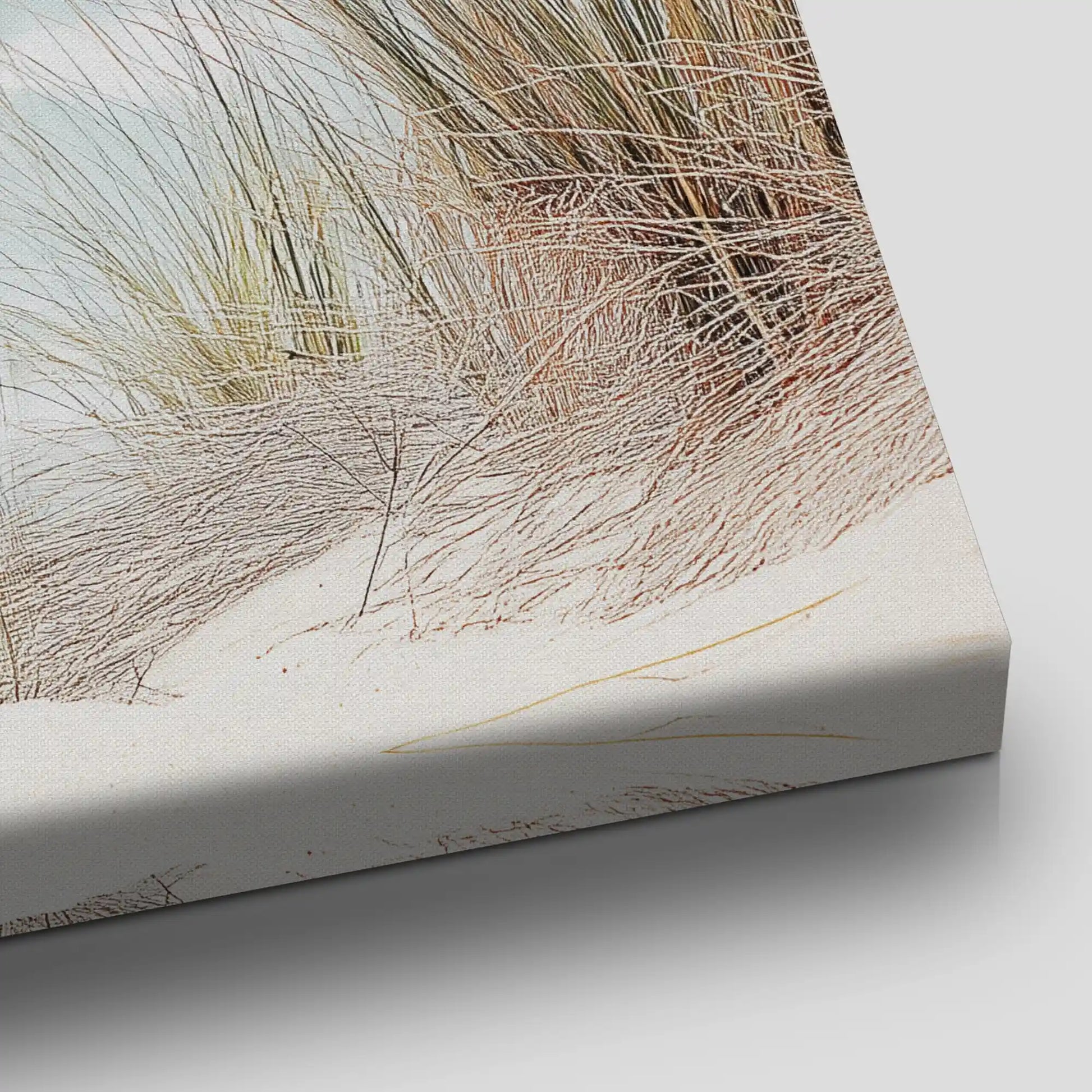 Coastal Dune Grass Canvas Wall Art