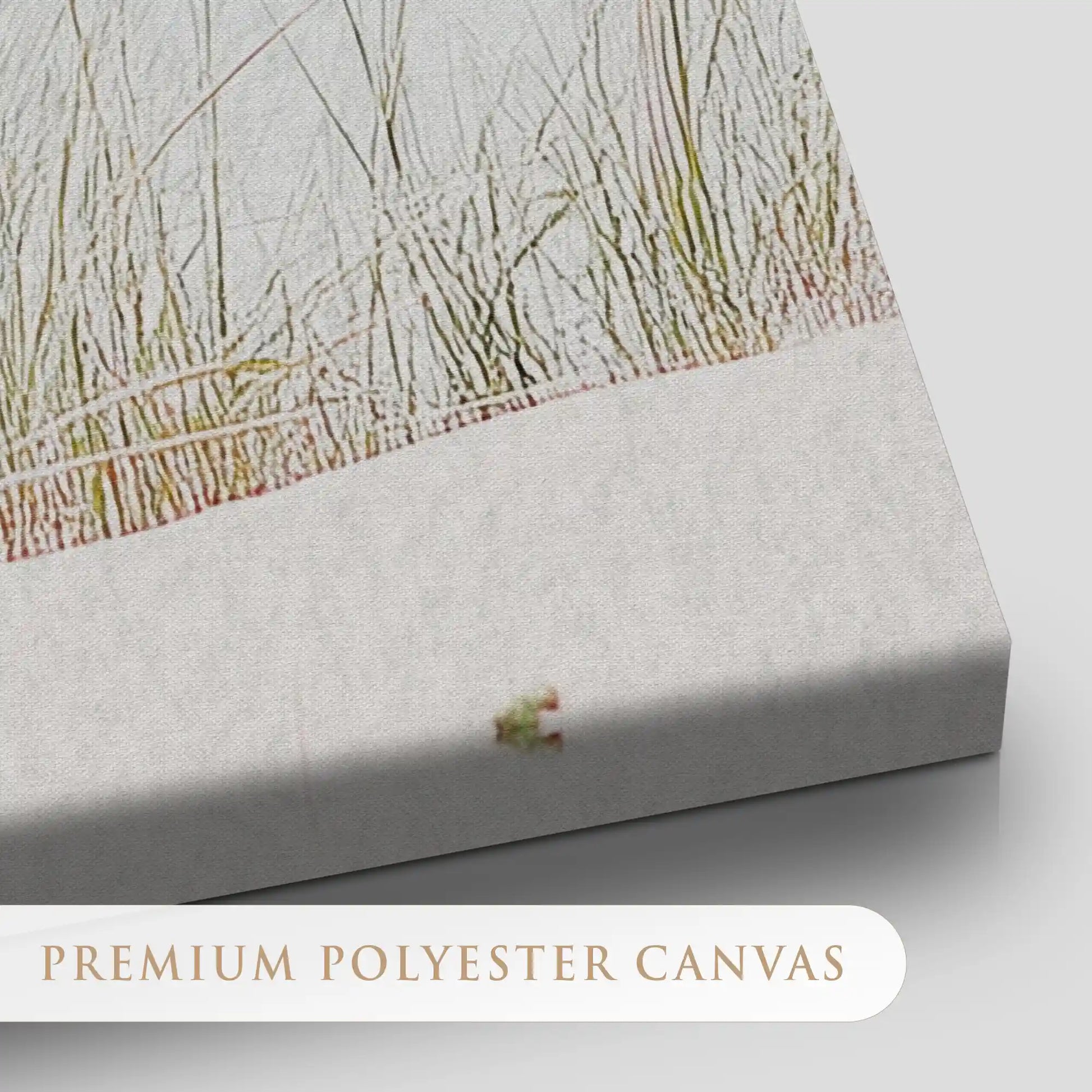 Beach Dune Grass Canvas Wall Art