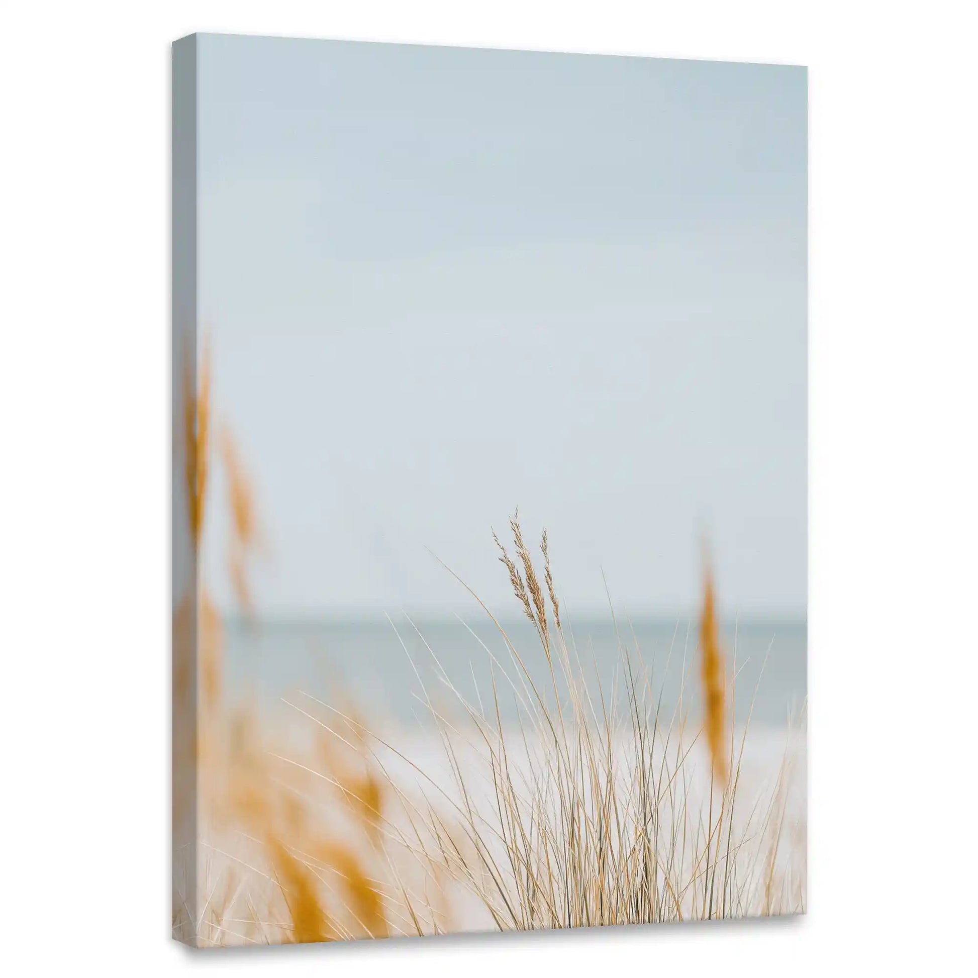 Minimalist dune grass canvas wall art for bedroom with coastal calm