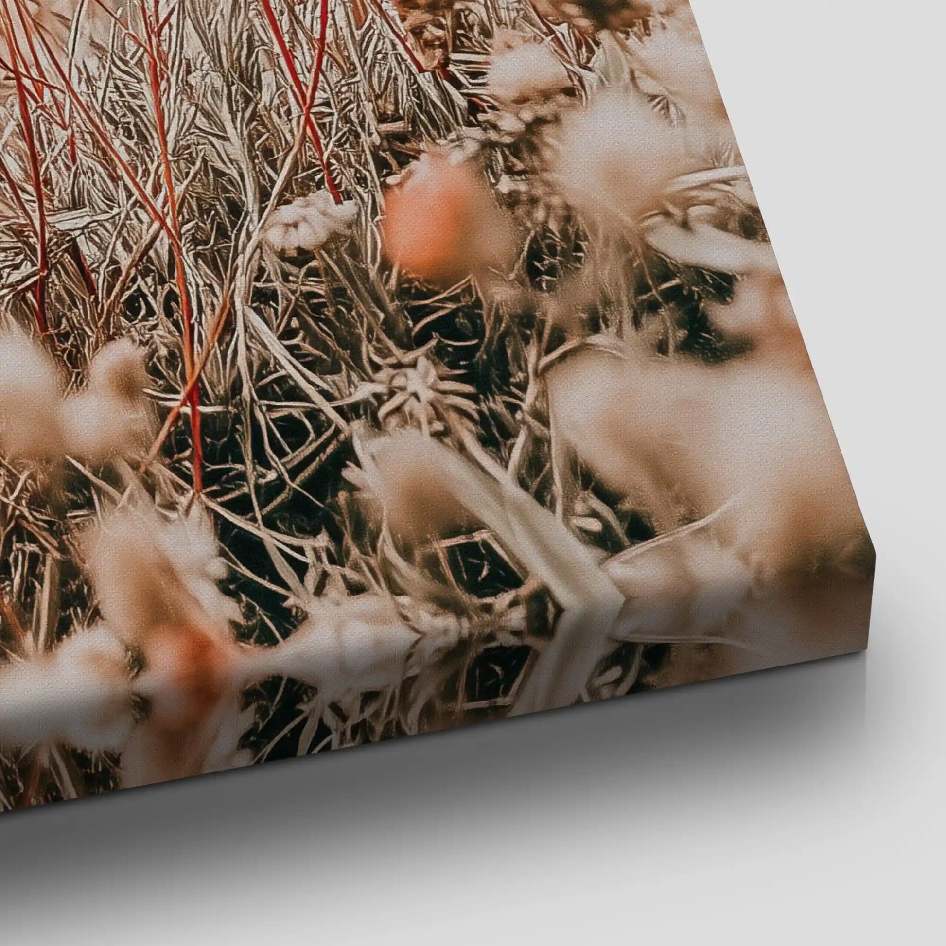 Coastal Dune Flowers Canvas Wall Art