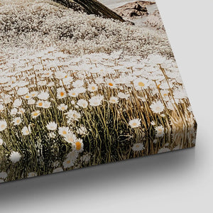 Wildflower Cliffside Canvas Wall Art