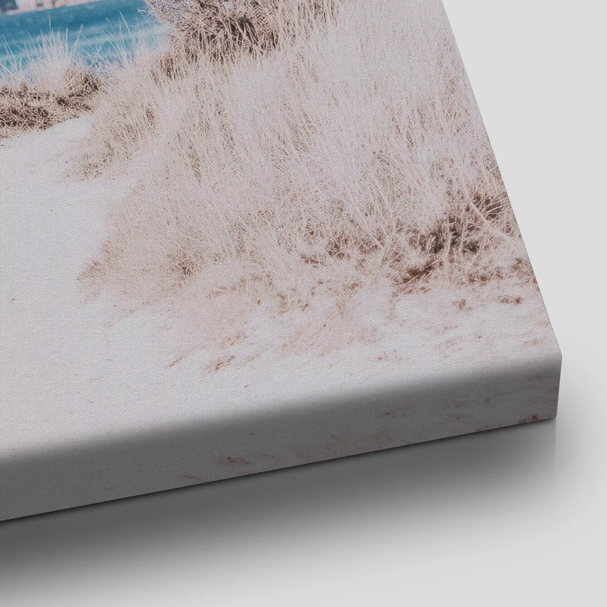 Beach Dune Path Canvas Wall Art