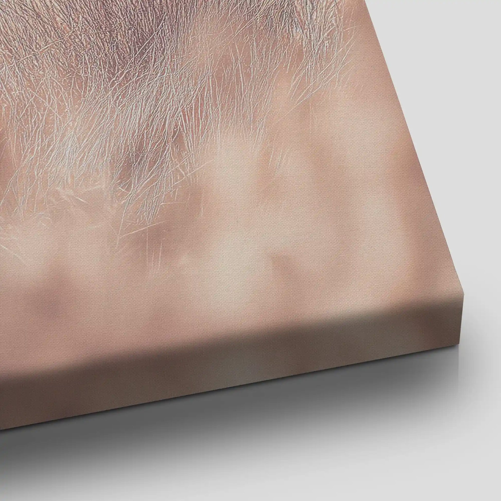 Soft Coastal Dune Canvas Wall Art