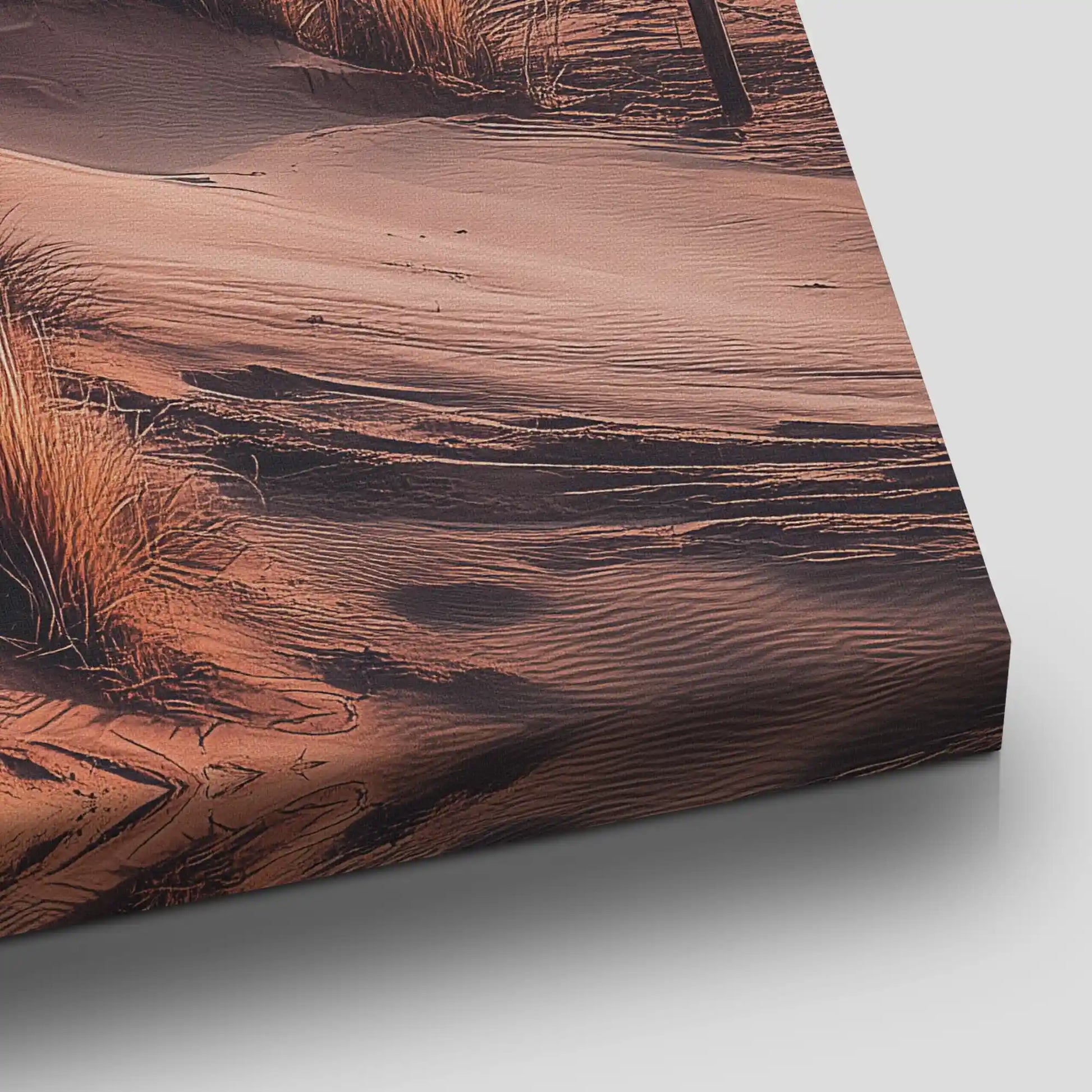 Golden Dune Coastline Canvas Wall Art