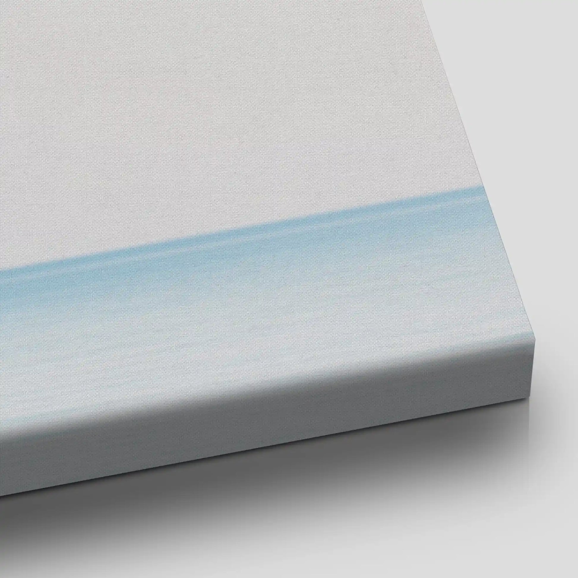 Soaring Seagulls Over Ocean Canvas Wall Art
