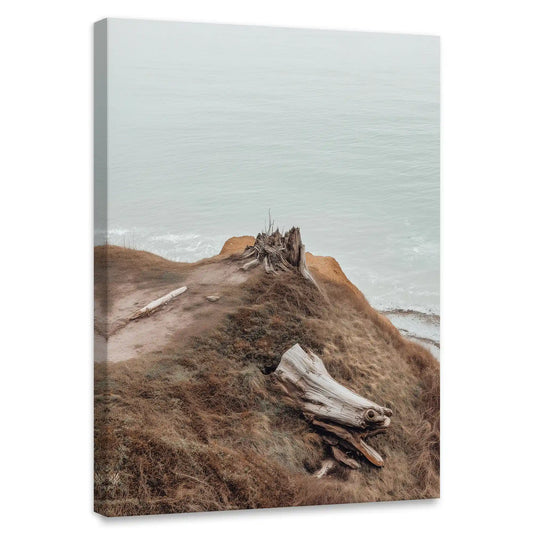 Coastal cliff canvas wall art for bedroom featuring driftwood on rugged bluff above ocean