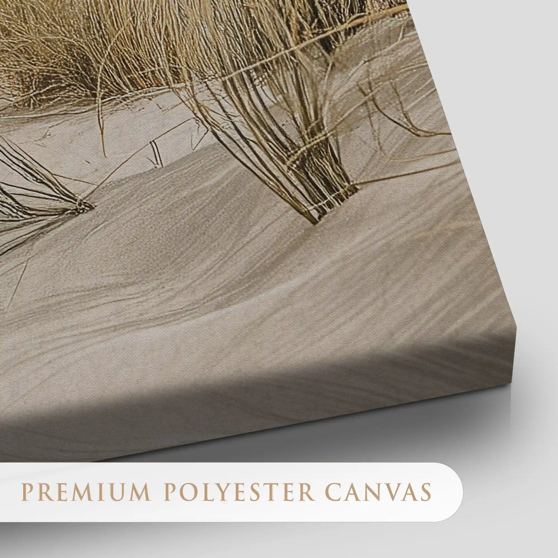 Coastal Dune Breeze Canvas Wall Art