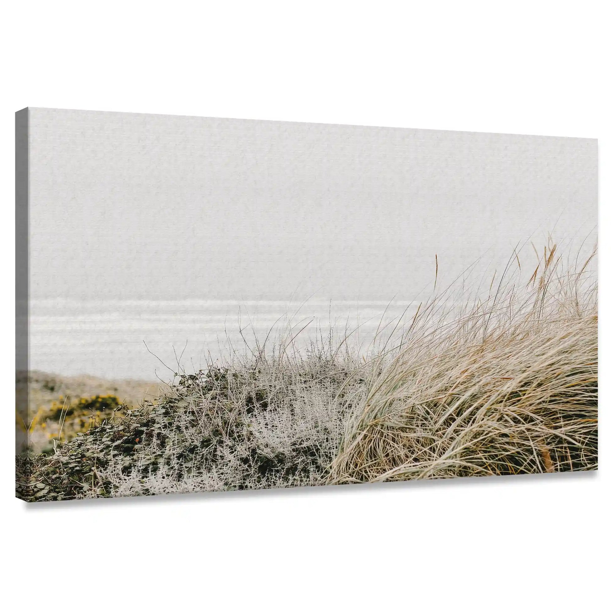 Minimalist dune grass canvas wall art for living room with soft coastal tones