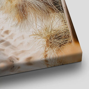 Beach Dune Path Canvas Wall Art