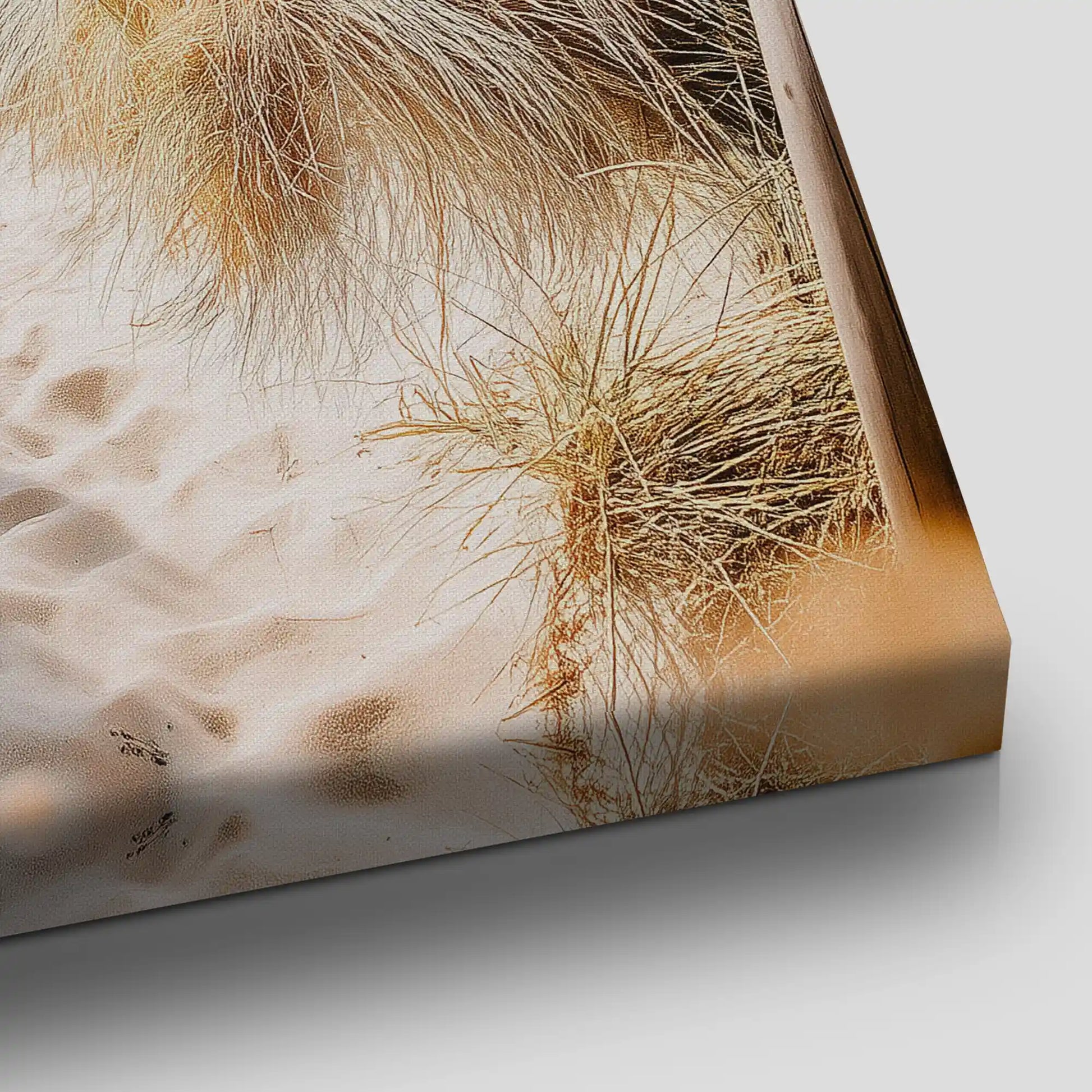 Beach Dune Path Canvas Wall Art