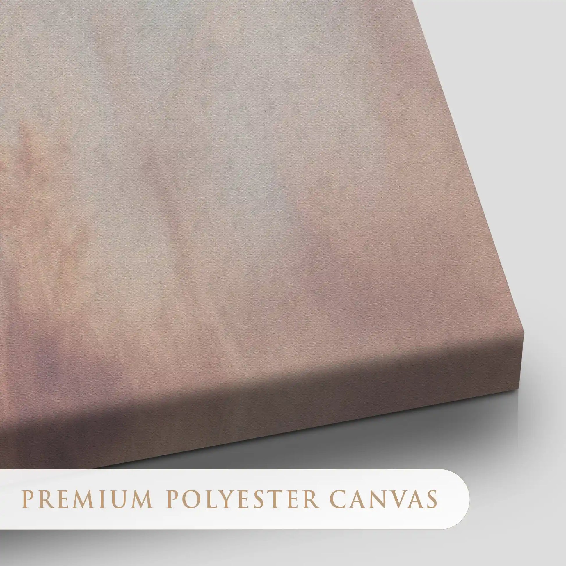 Soft Coastal Dune Scene Canvas Wall Art