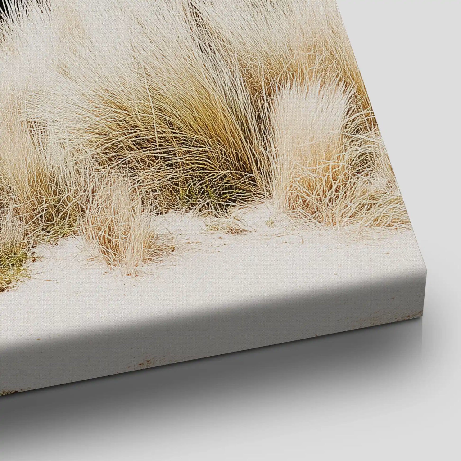 Beach Hut Coastal Canvas Wall Art