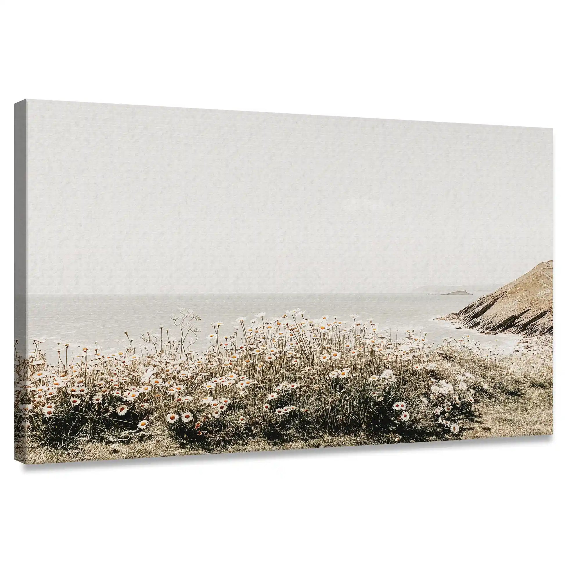 Minimalist coastal meadow canvas wall art for living room with soft earthy tones