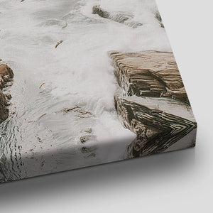 Seabird Cliff Colony Canvas Wall Art
