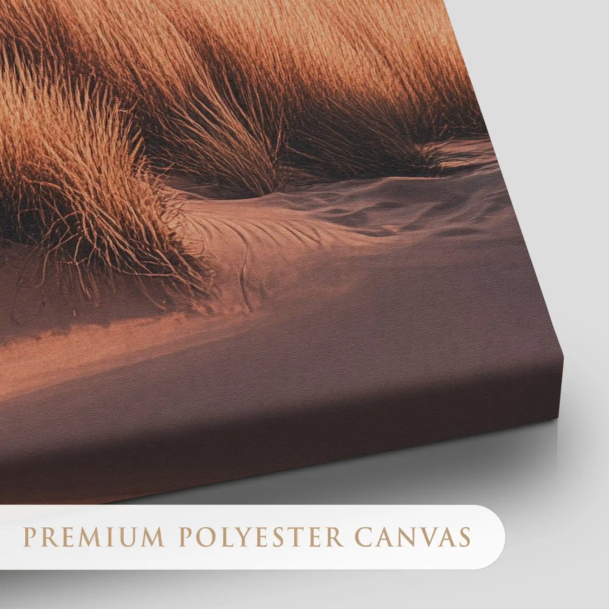 Sunset Coastal Dunes Canvas Wall Art