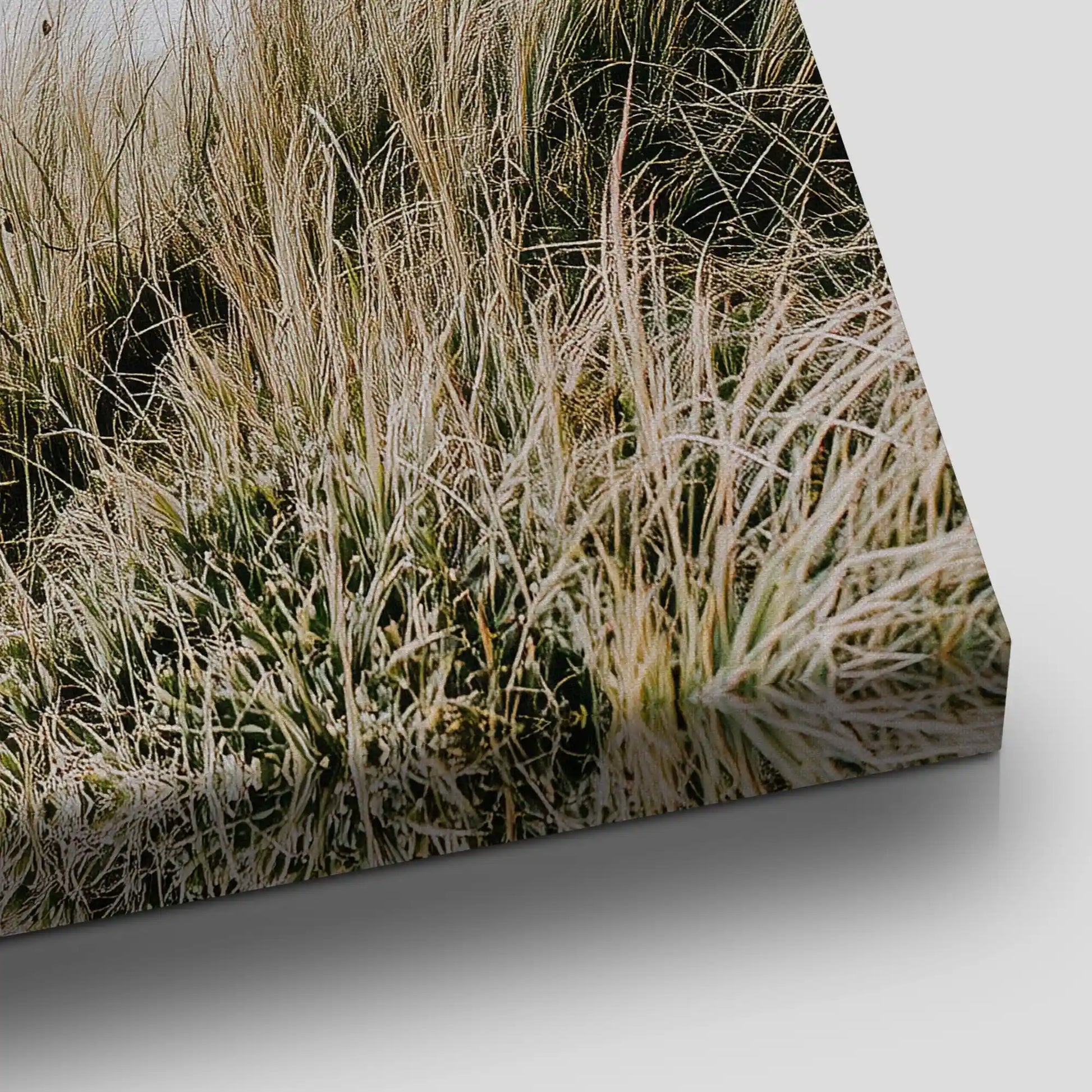 Coastal Beach Grass Canvas Wall Art