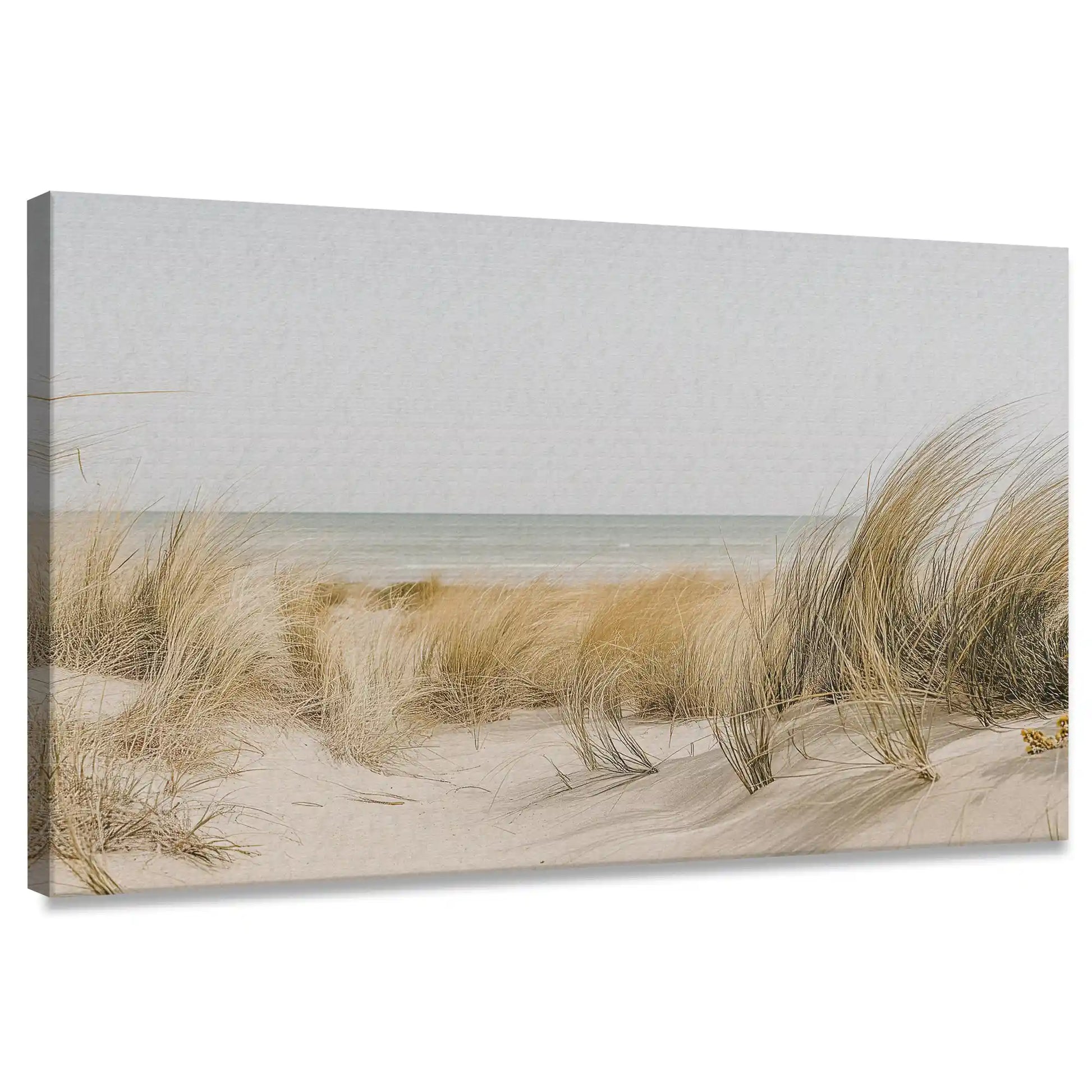 Minimalist coastal dune grass canvas wall art for living room with soft sandy tones