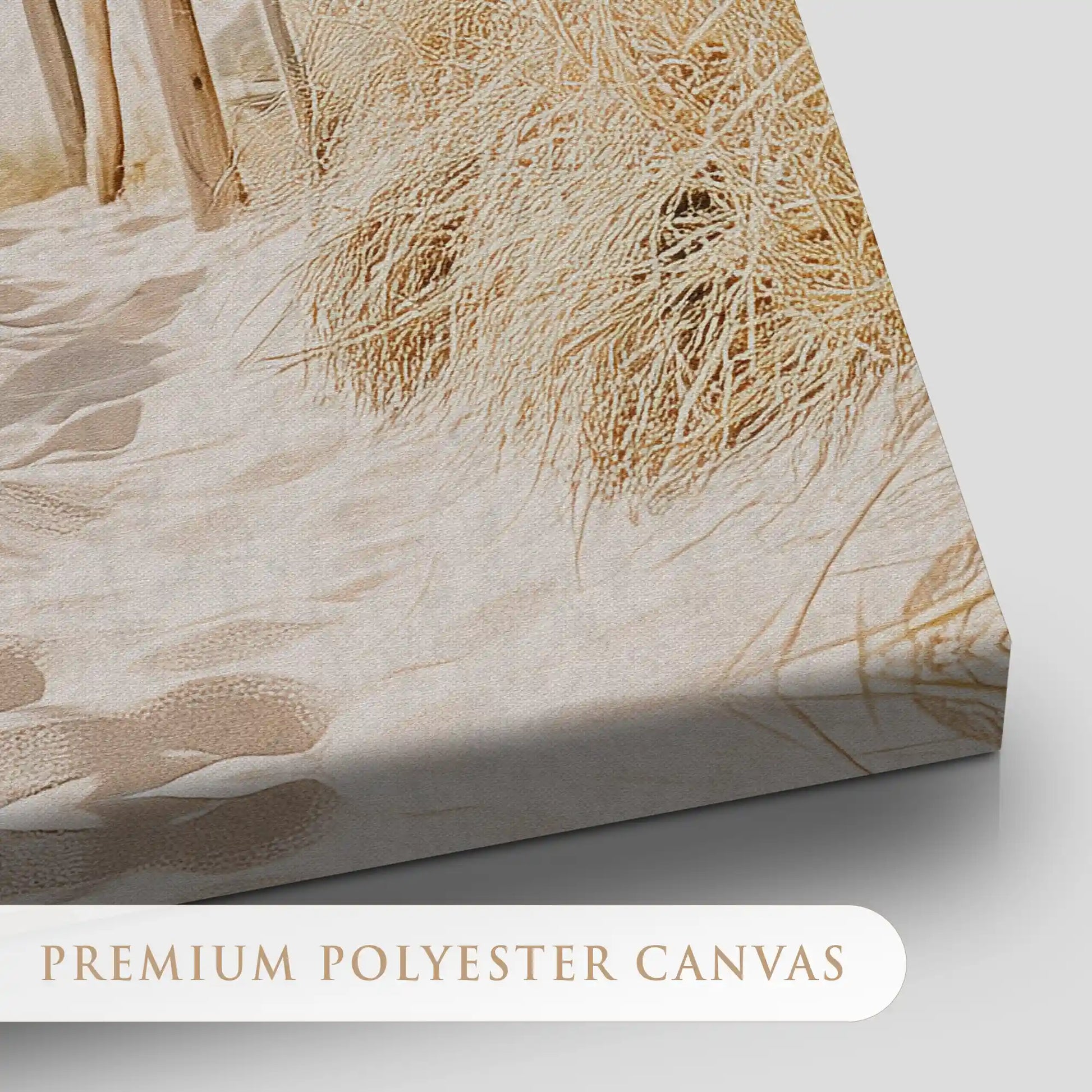 Sandy Dune Pathway Canvas Wall Art