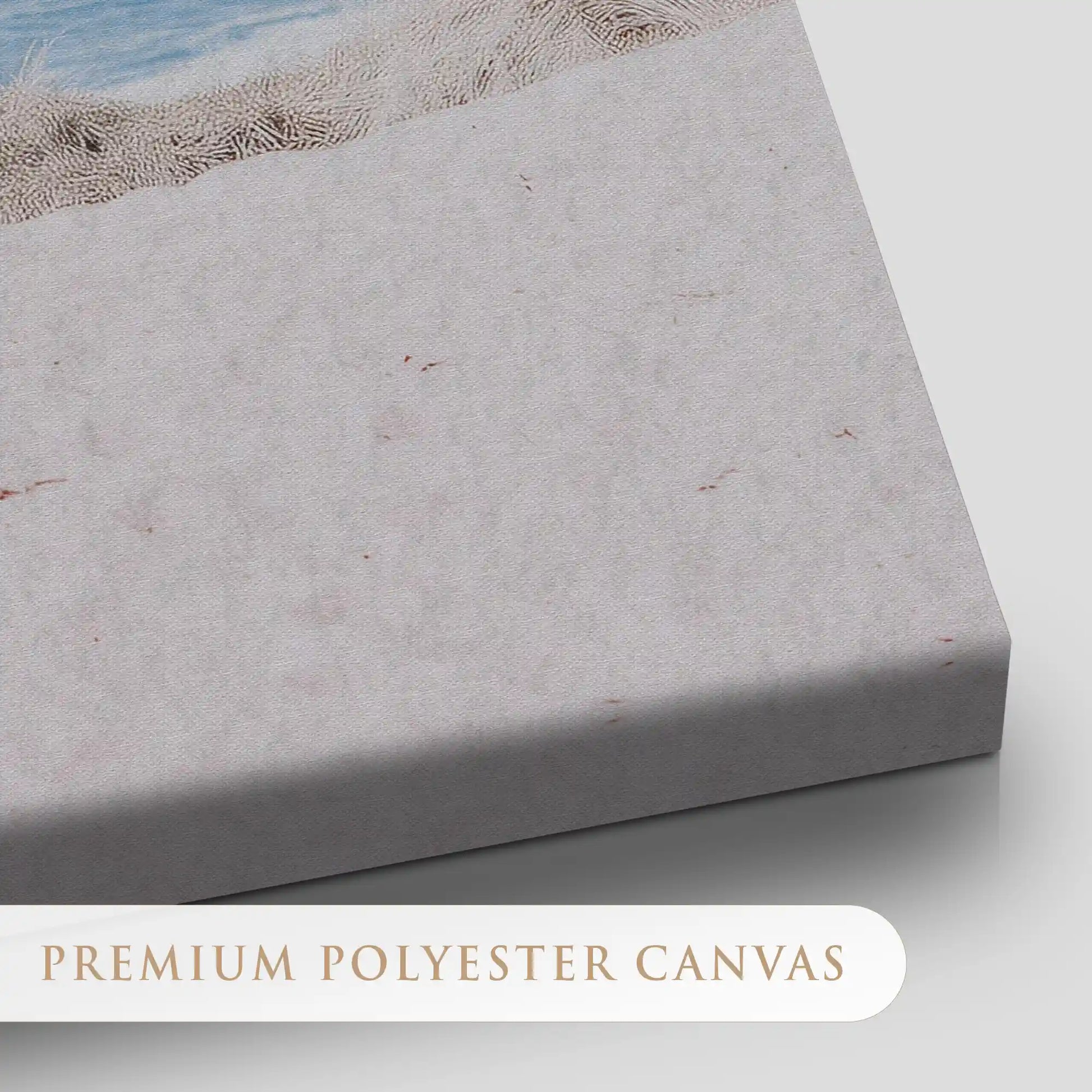 Dune Path to Ocean Canvas Wall Art