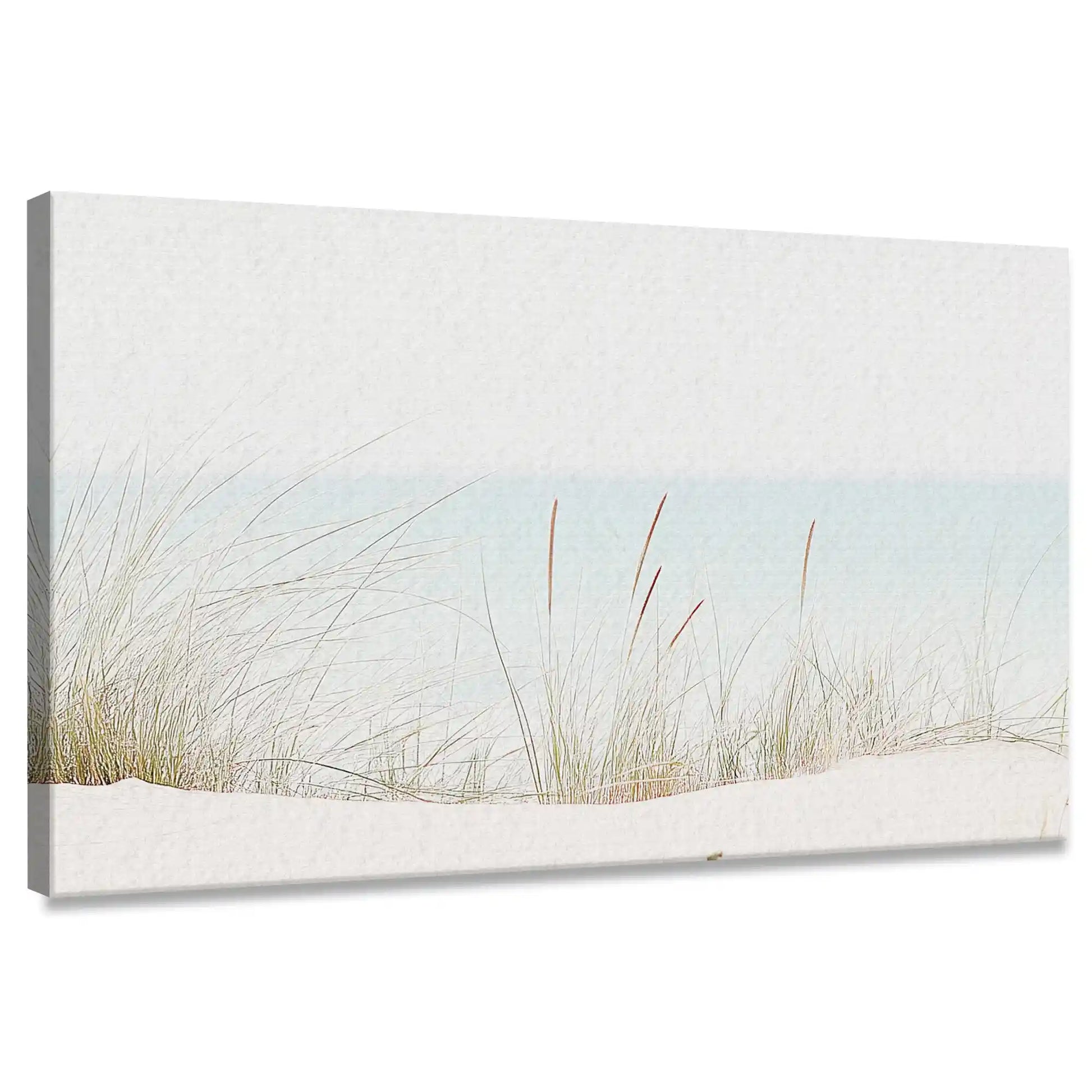 Minimalist coastal dune grass canvas wall art for living room with soft pastel tones