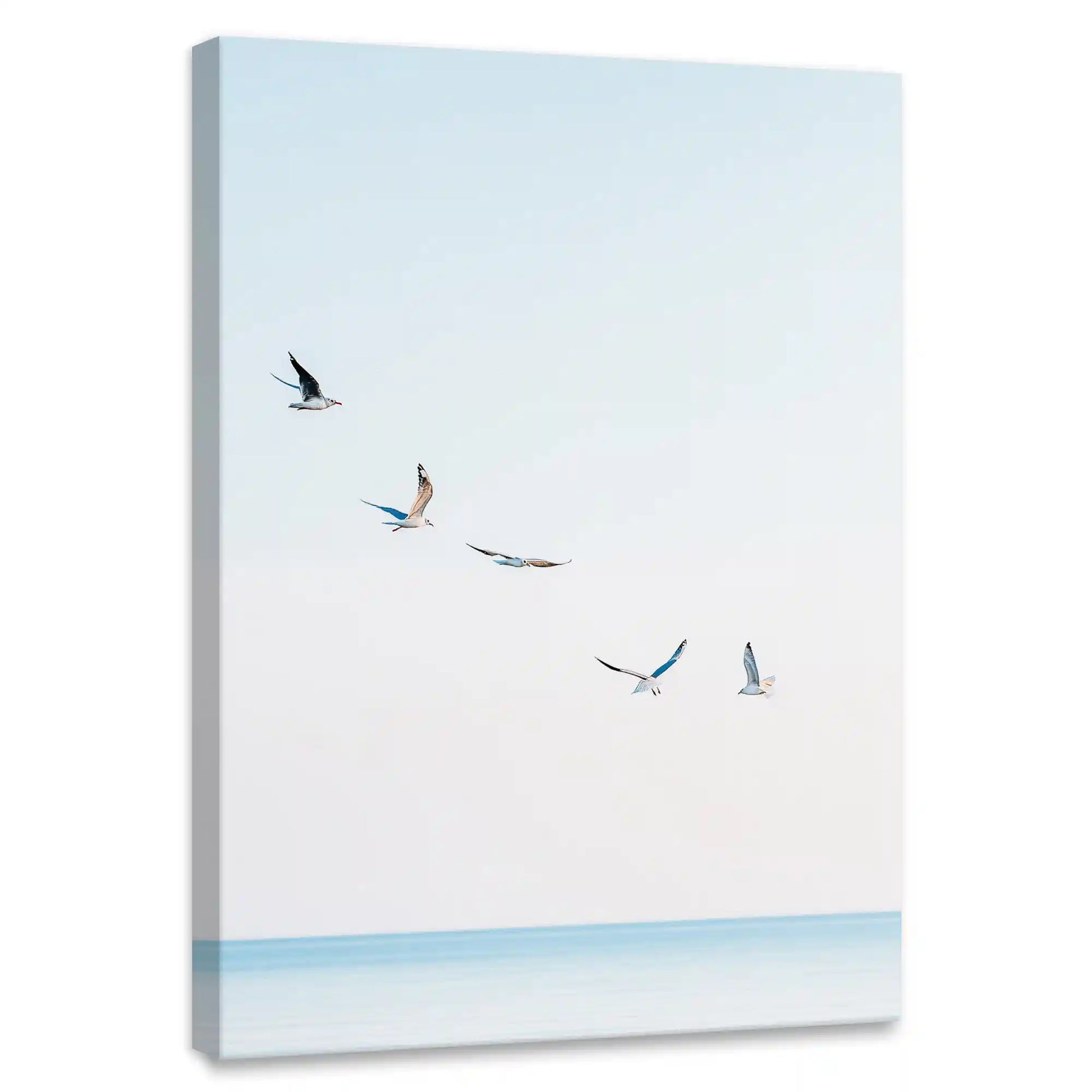 Minimalist seagull canvas wall art for living room, soft pastel sky with gentle ocean horizon