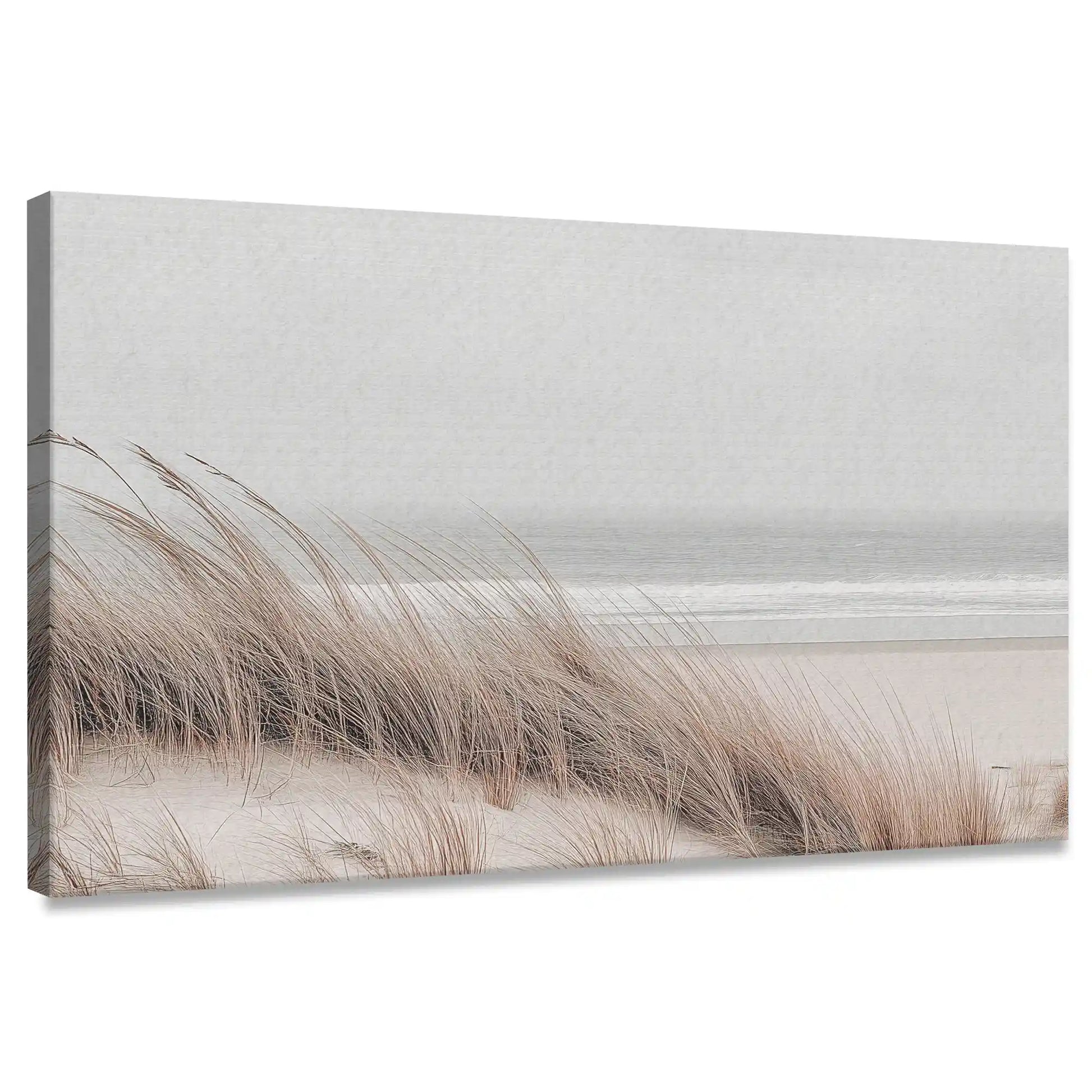 Minimalist dune grass canvas wall art for living room with soft coastal palette