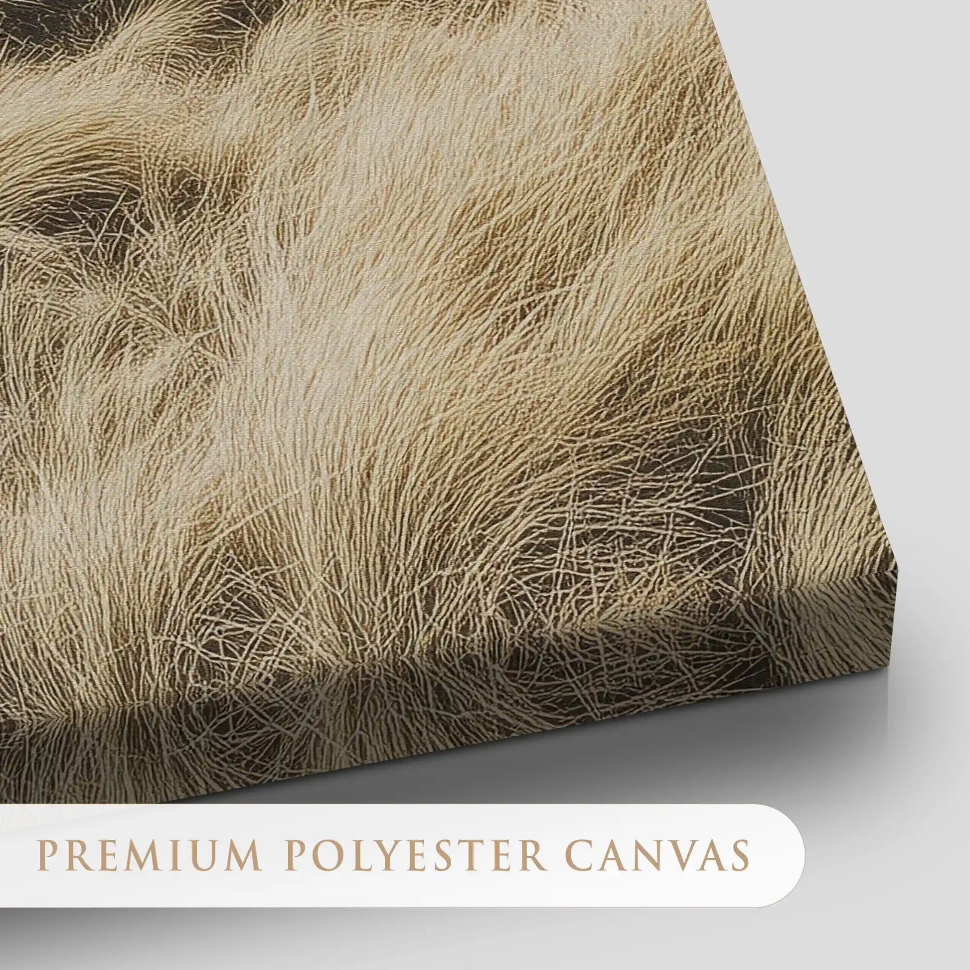 Coastal Dune Path Canvas Wall Art