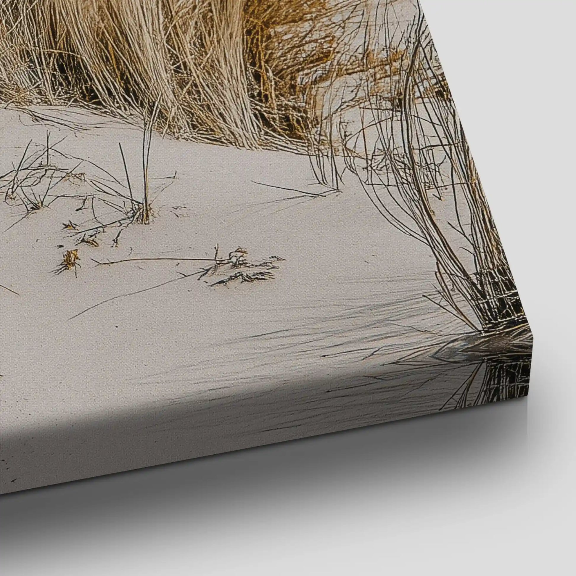 Coastal Beach Grass Canvas Wall Art