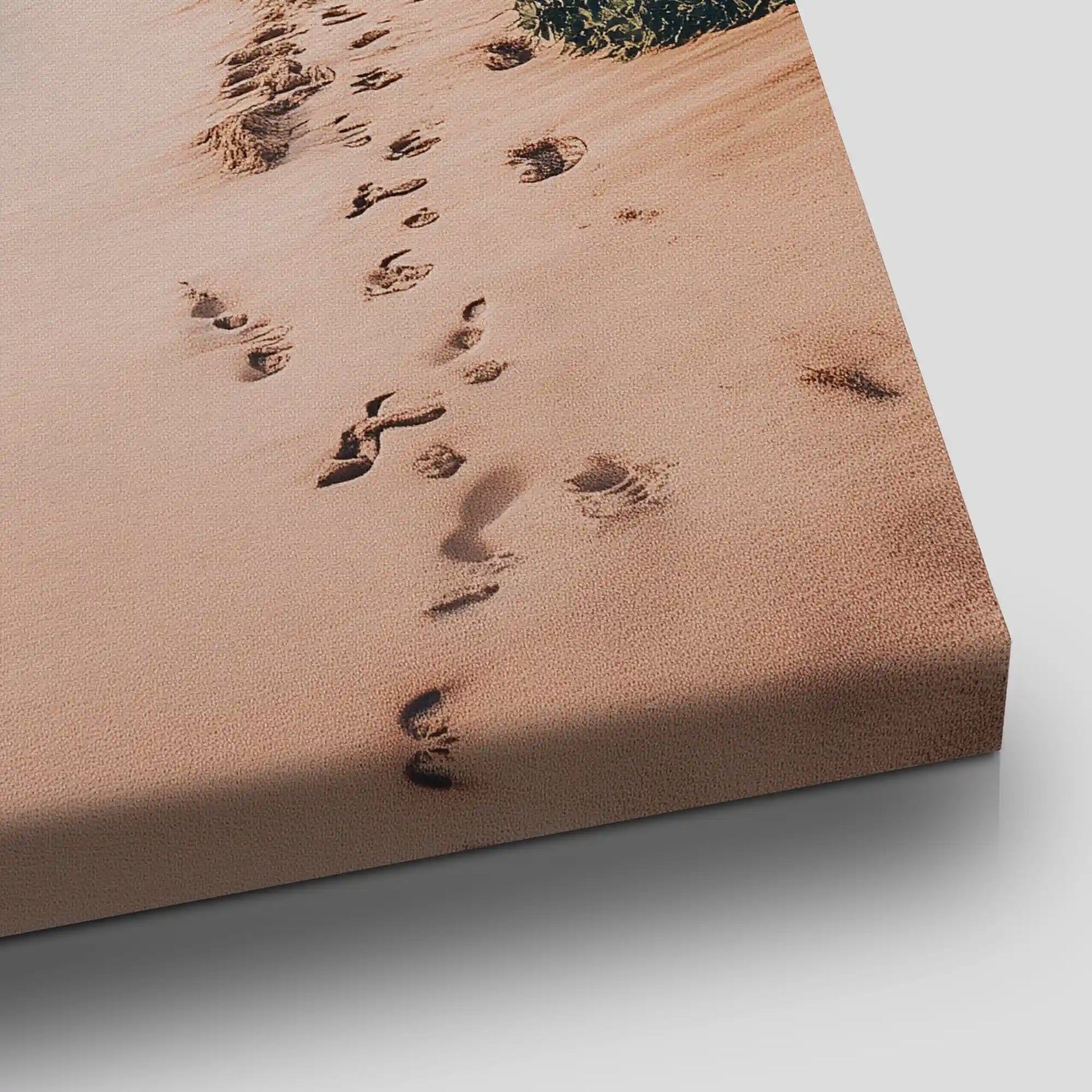 Palm Tree Beach Path Canvas Wall Art