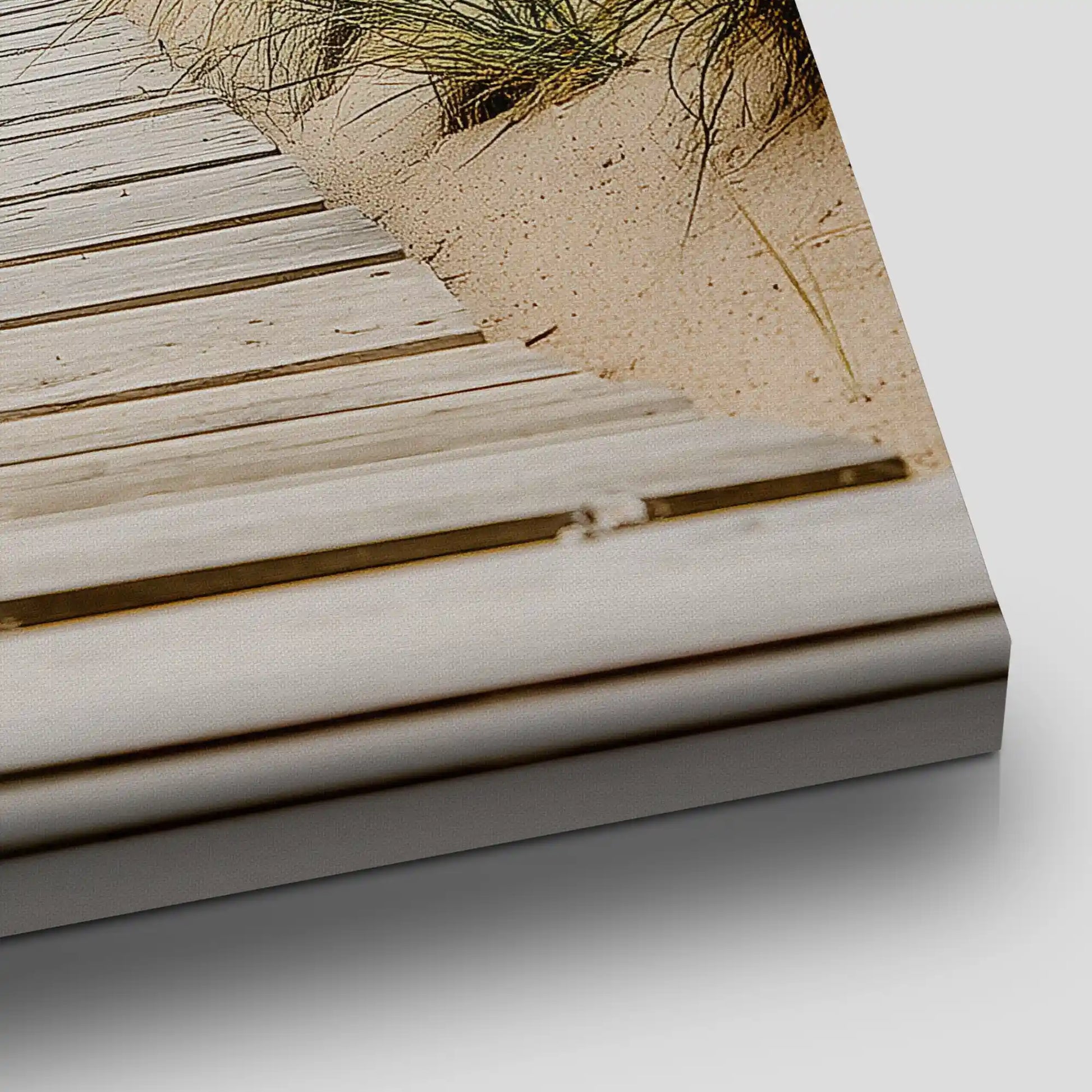 Beach Dune Pathway Canvas Wall Art
