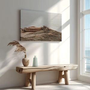 Driftwood and sea horizon captured in canvas print with contemporary coastal style