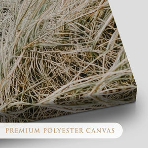 Coastal Beach Grass Canvas Wall Art
