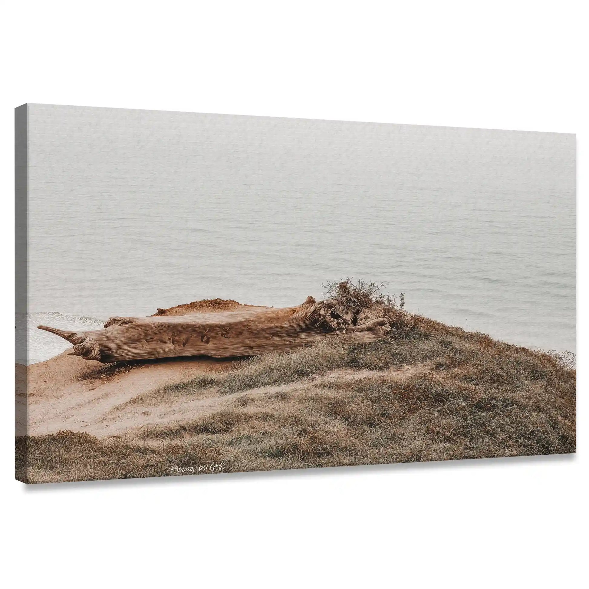 Rustic coastal cliff canvas wall art for living room featuring driftwood on sandy shoreline