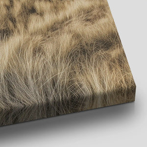 Coastal Sand Dunes Canvas Wall Art