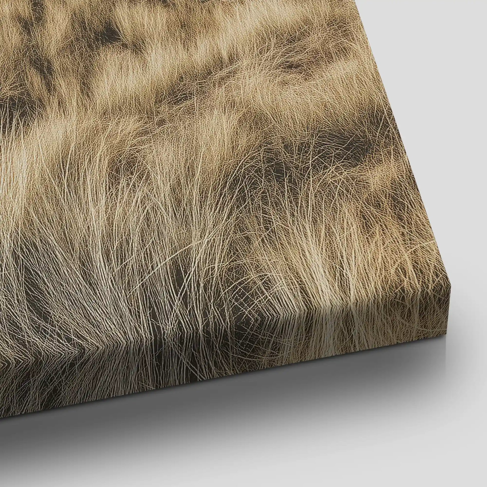 Coastal Sand Dunes Canvas Wall Art