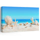 Coastal beach wall decor featuring seashells, coral, and starfish on soft sand with a blue ocean canvas