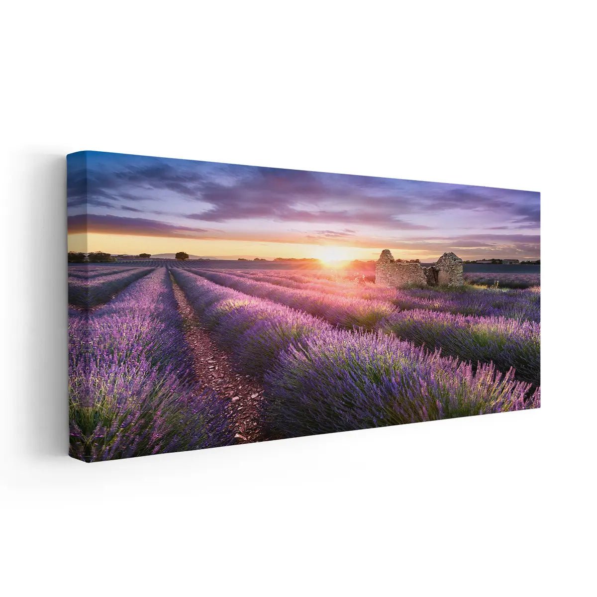 Lavender Field Sunset Wall Art Canvas