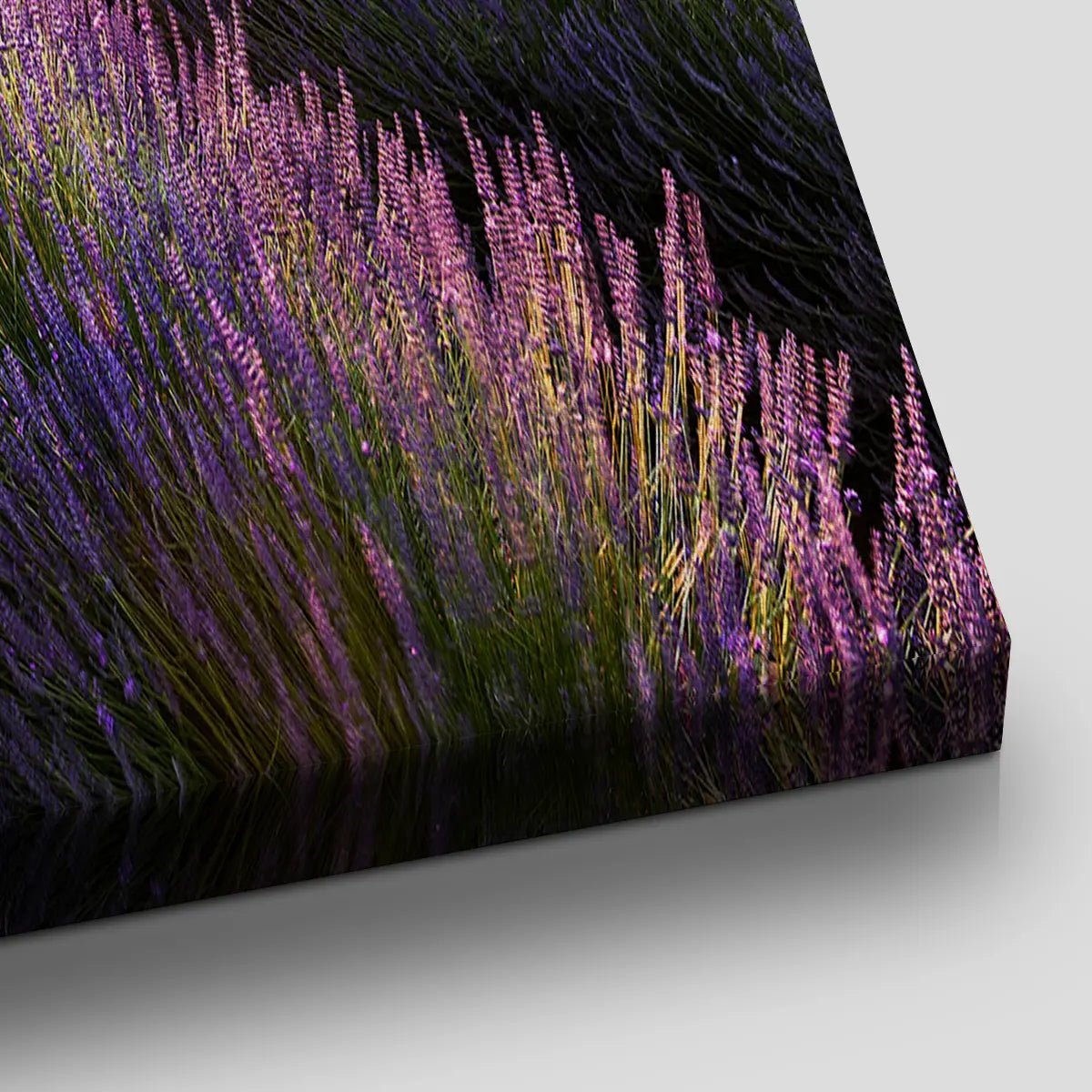 Lavender Field Sunset Wall Art Canvas