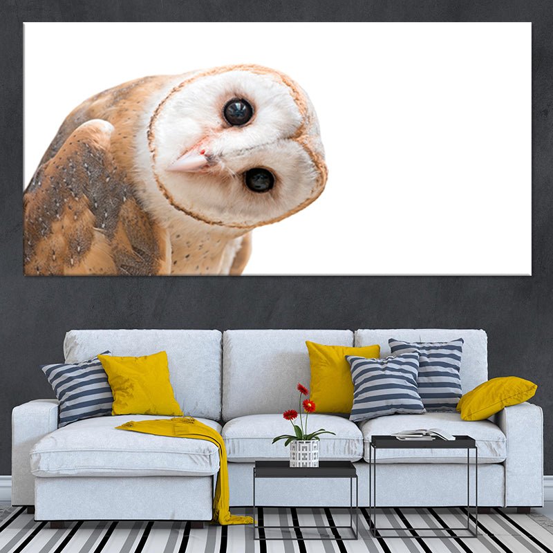 Single panel canvas print of a close-up barn owl with detailed feathers and captivating eyes.