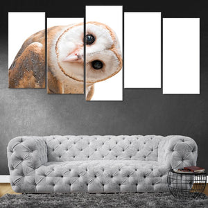 Curious Barn Owl Wall Art Canvas-Stunning Canvas Prints