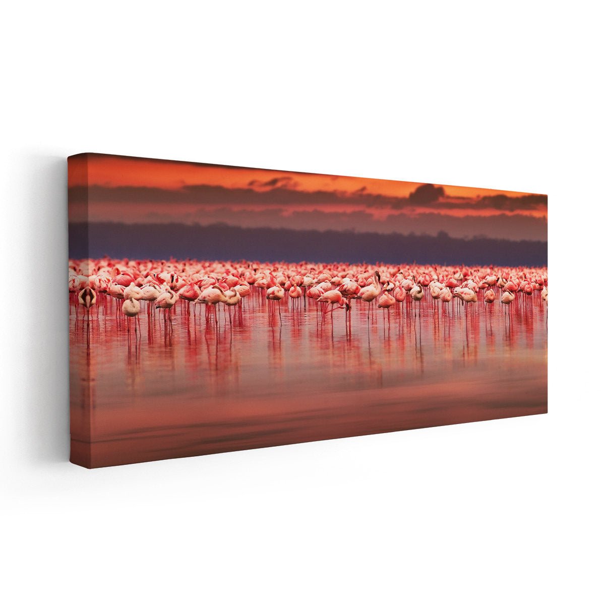 Pink Flamingos Wall Art-Stunning Canvas Prints
