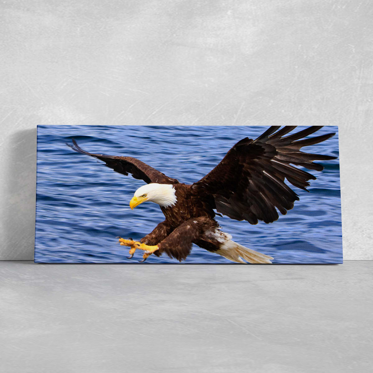 Hunting Bald Eagle Wall Art: Large Canvas Print, Art Prints & Paintings