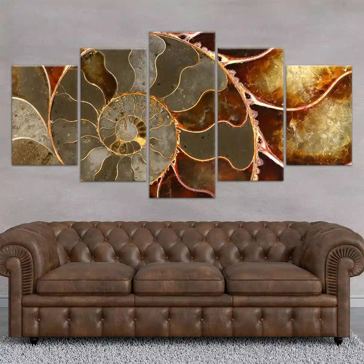 Ammonite Fossil Geometric Wall Art