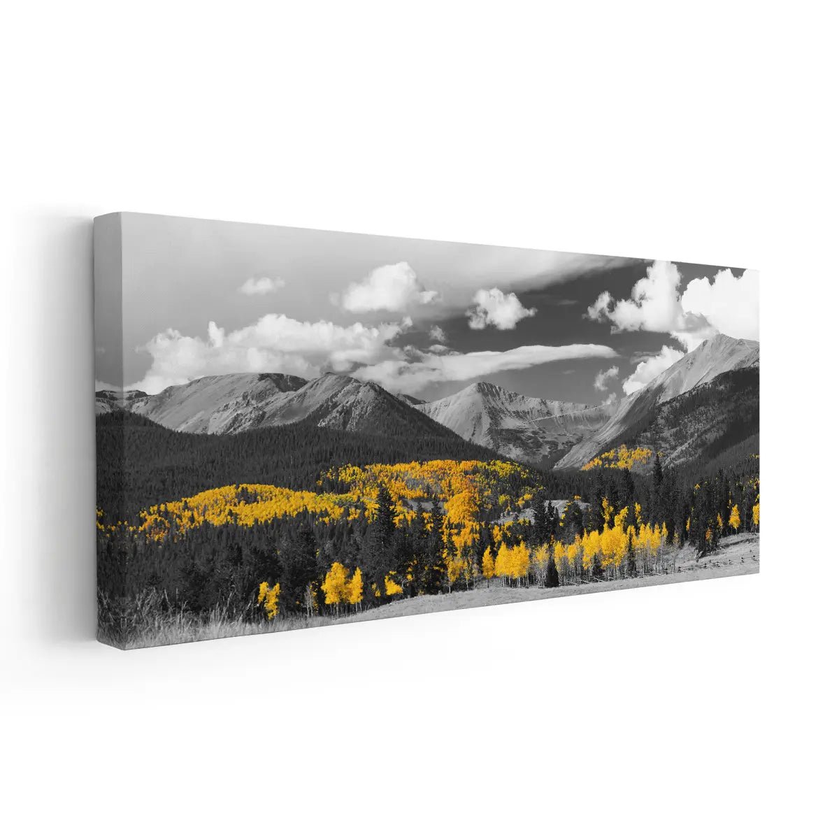 Aspen Forest Black And White Wall Art-Stunning Canvas Prints
