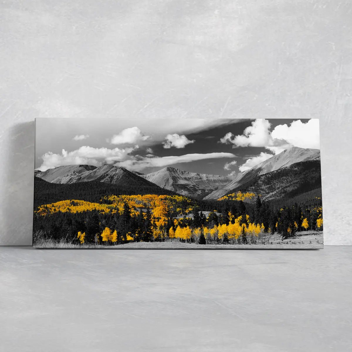 Black And White Forest Wall Art Canvas-Stunning Canvas Prints