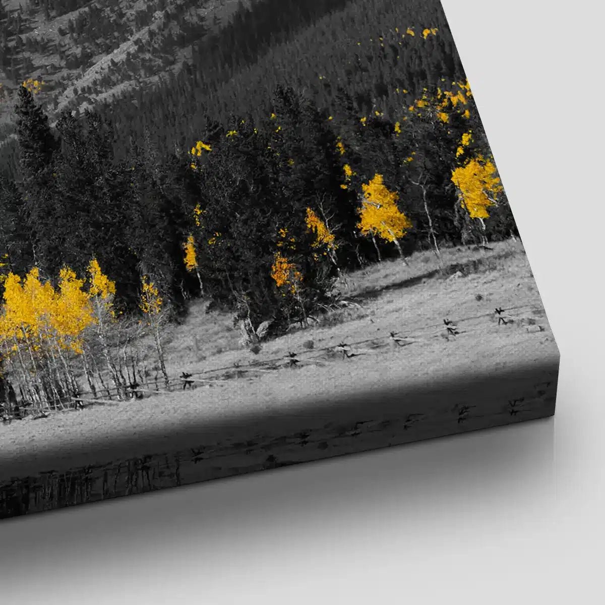 Black And White Forest Wall Art Canvas-Stunning Canvas Prints