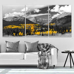 Aspen Forest Black And White Wall Art-Stunning Canvas Prints